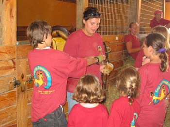 Horseback Riding Lessons Fort Mill, SC