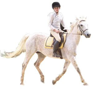 lessons riding charlotte leg near flex payment option camps horseback equestrian program