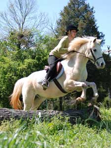 Horseback Riding Lessons - "Best of Charlotte"; kids ...