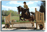 English Horseback Riding lessons & Summer Camps NC SC